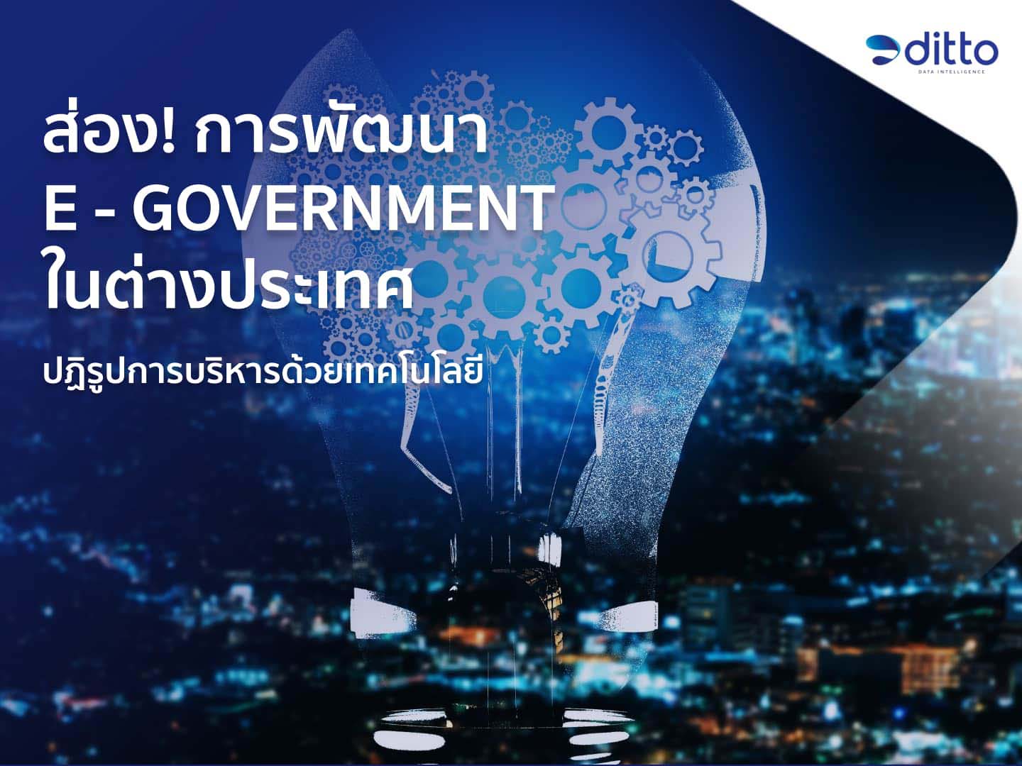 e-Government