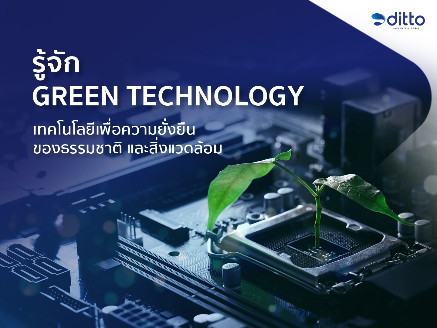 รู้จัก Green Technology เทคโนโลยีเพื่อความยั่งยืนของธรรมชาติ และสิ่งแวดล้อม