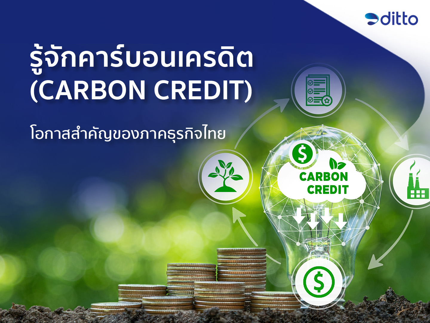 รู้จักคาร์บอนเครดิต (Carbon Credit) โอกาสสำคัญของภาคธุรกิจไทย