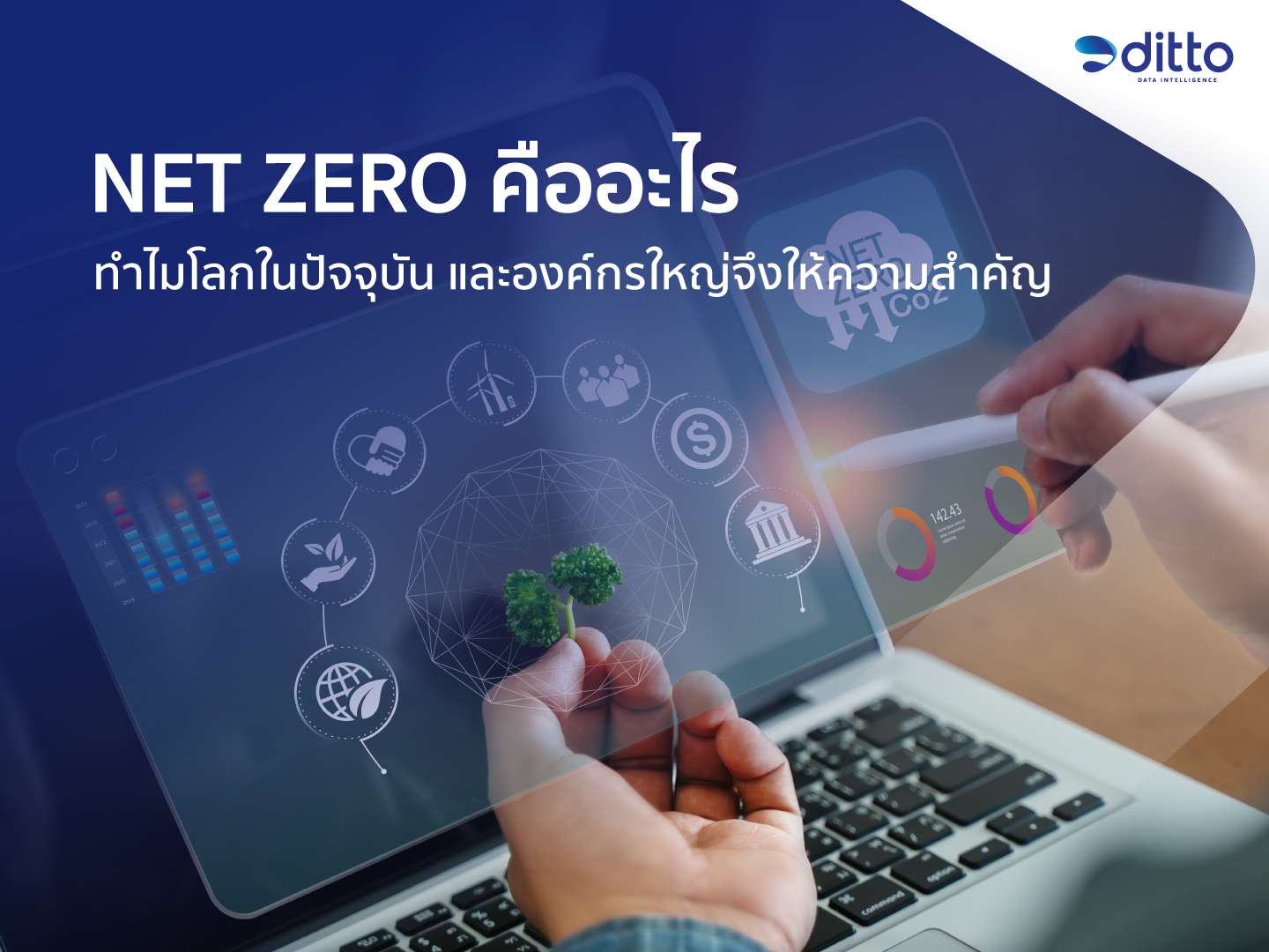 Net Zero คืออะไร ทำไมโลกในปัจจุบัน และองค์กรใหญ่จึงให้ความสำคัญ