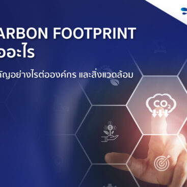 Carbon Footprint คืออะไร สำคัญอย่างไรต่อองค์กร และสิ่งแวดล้อม