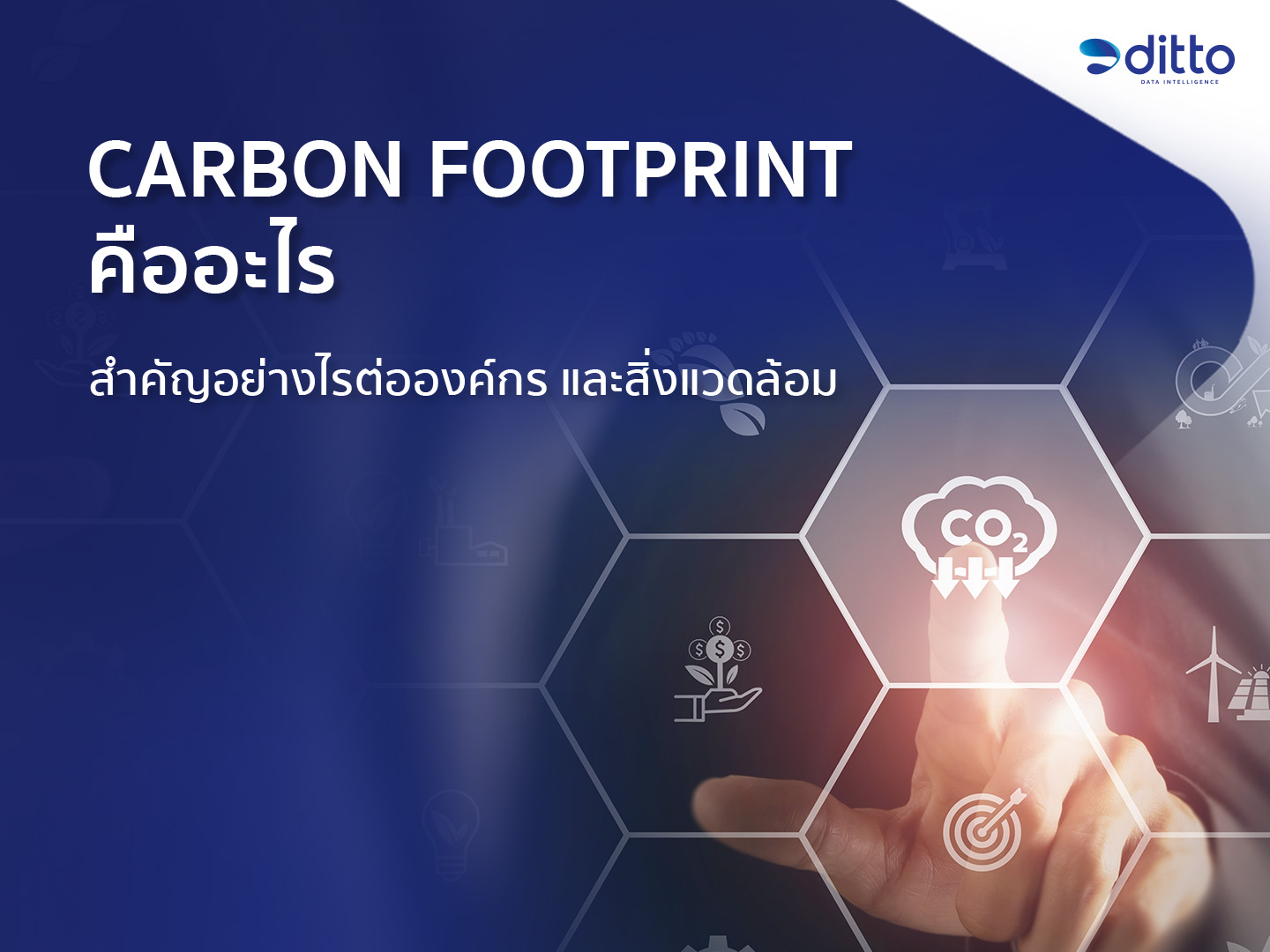 Carbon Footprint คืออะไร สำคัญอย่างไรต่อองค์กร และสิ่งแวดล้อม
