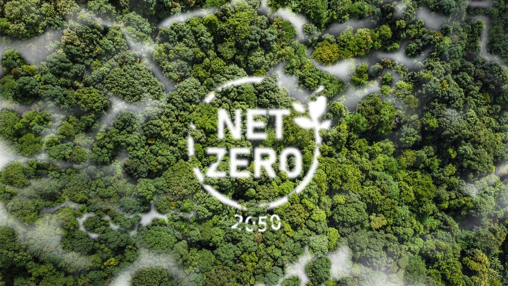 Net Zero คือ 