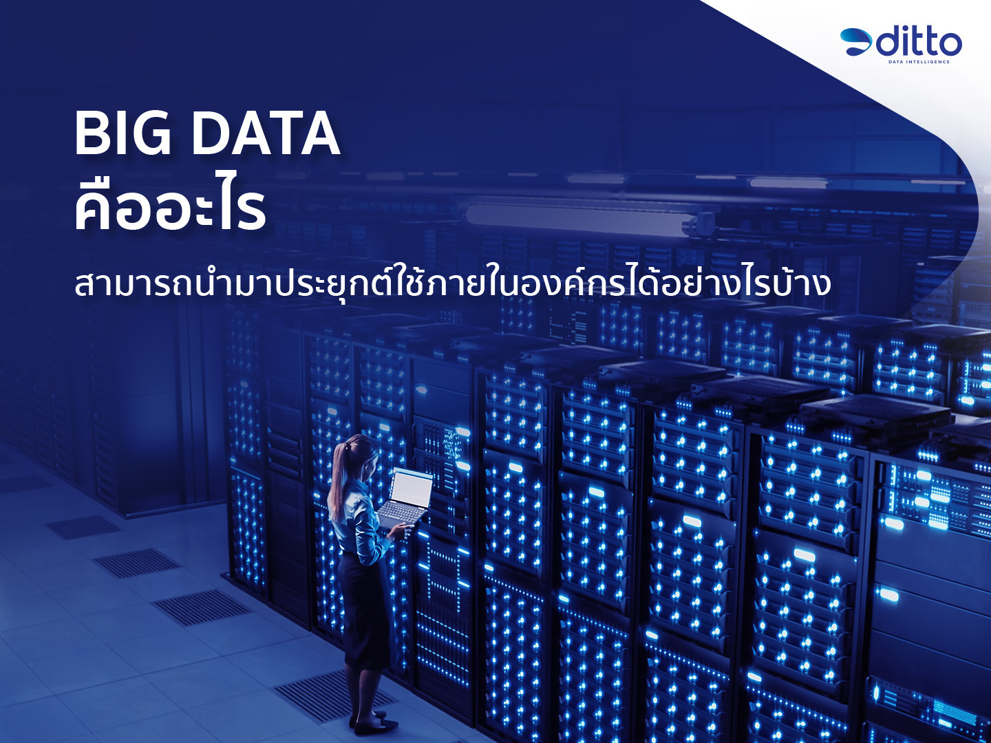 Big Data คืออะไร สามารถนำมาประยุกต์ใช้ภายในองค์กรได้อย่างไรบ้าง