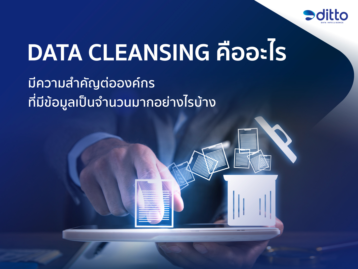 Data Cleansing