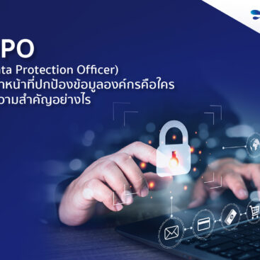 DPO คือ